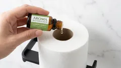 En behaglig doft i toaletten på bara en minut: ett enkelt sätt att ersätta köpta luftfräschare